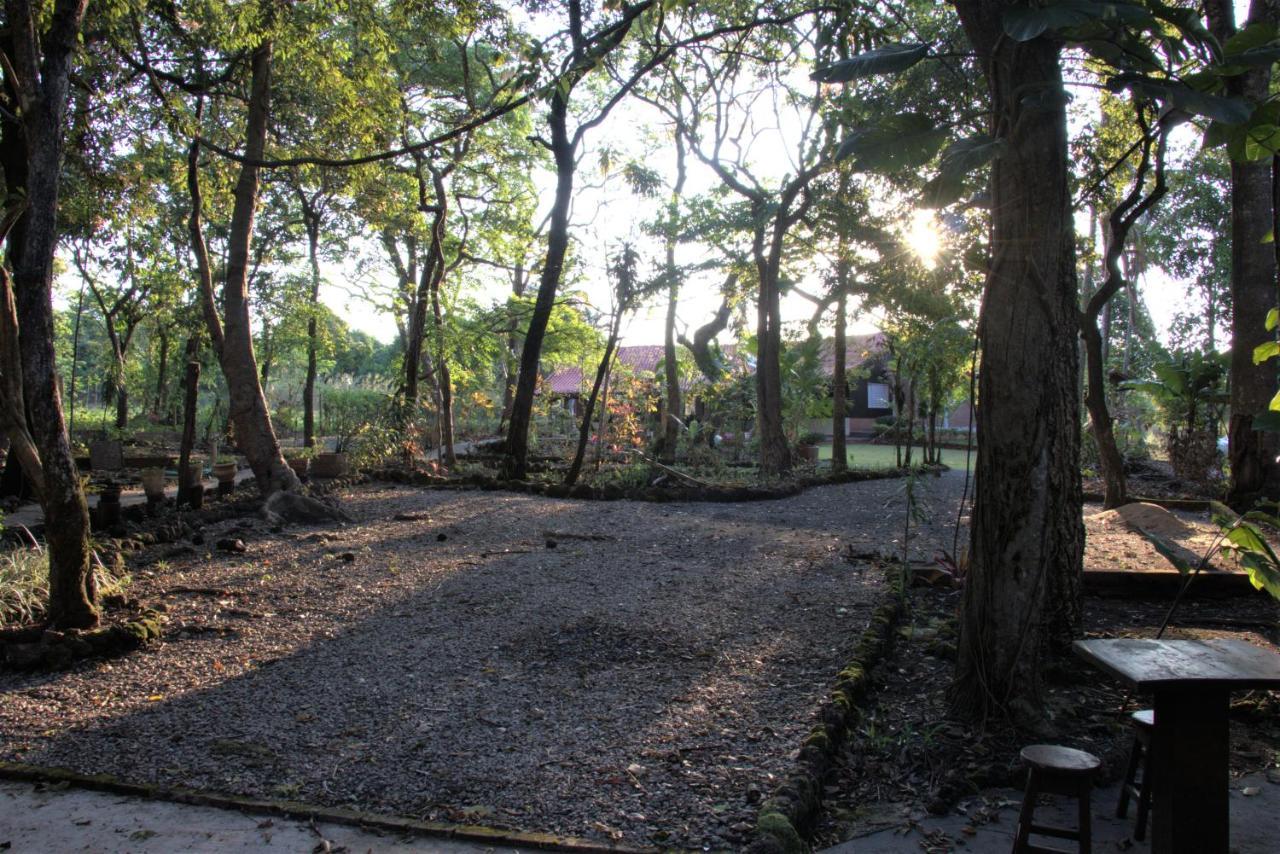 Villa Casa Unica Com Piscina E Lareira A 1,2 Km Do Centro Chapada dos Guimarães Exterior foto